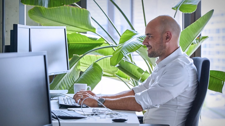 Ein Senior-Berater arbeitet am PC. Im Hintergrund ist eine raumhohe Zimmerpflanze vor einer Fensterfront zu sehen.