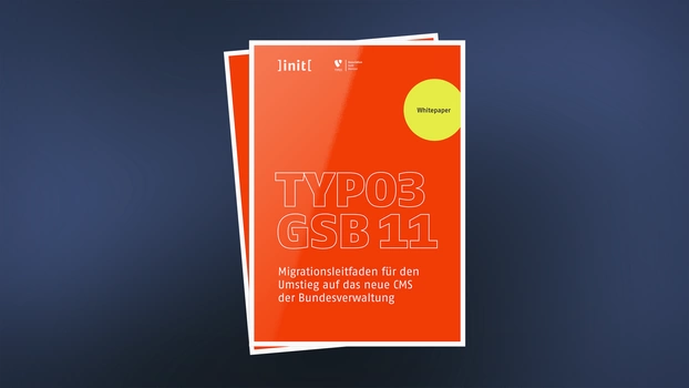 Cover des GSB 11 Whitepaper